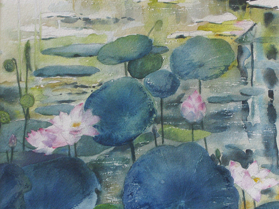 Lotus Pond