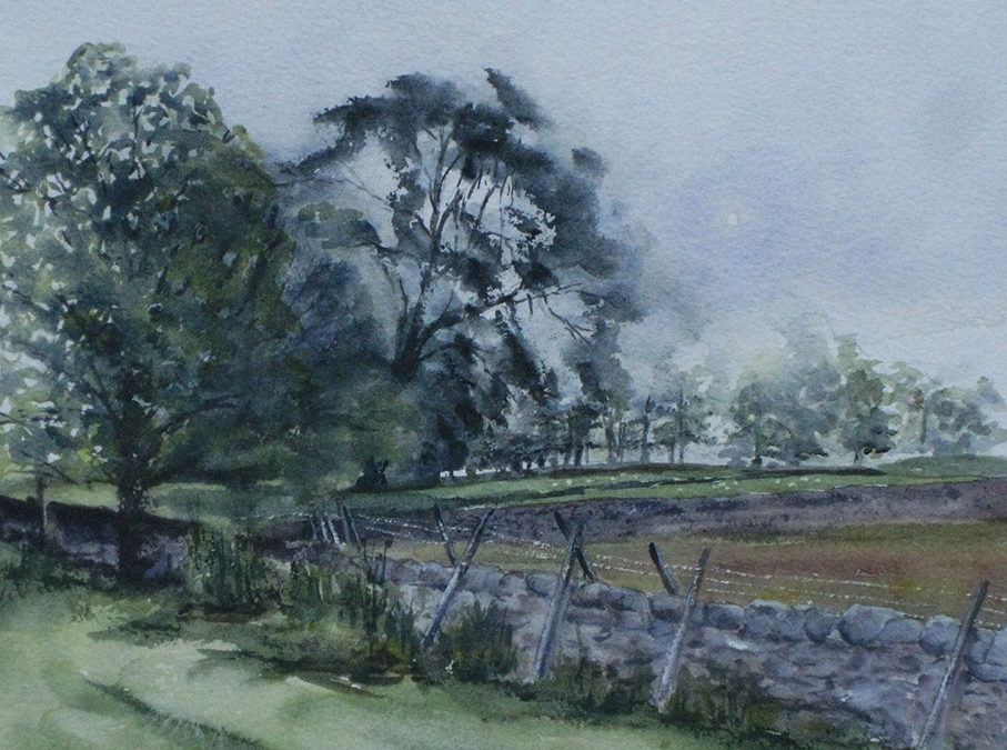 Misty morning in the dales