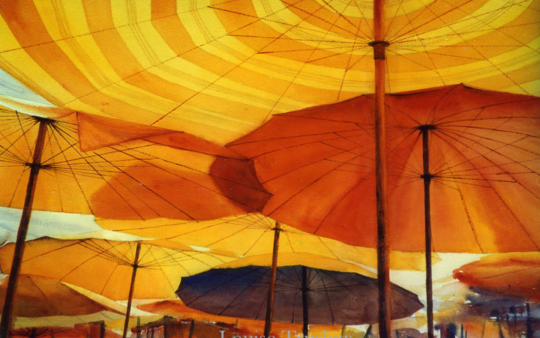 Under the Canopy